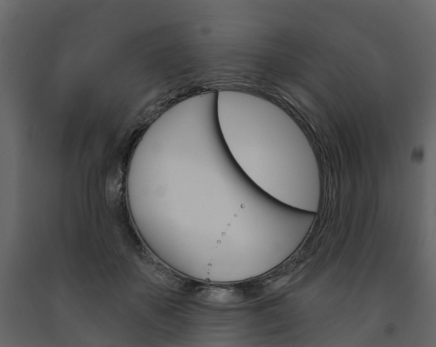 X0000091690507200708231133