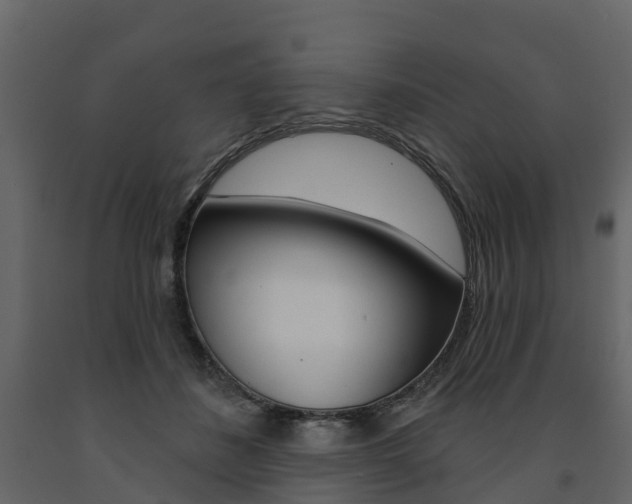 X0000091690508200708231133