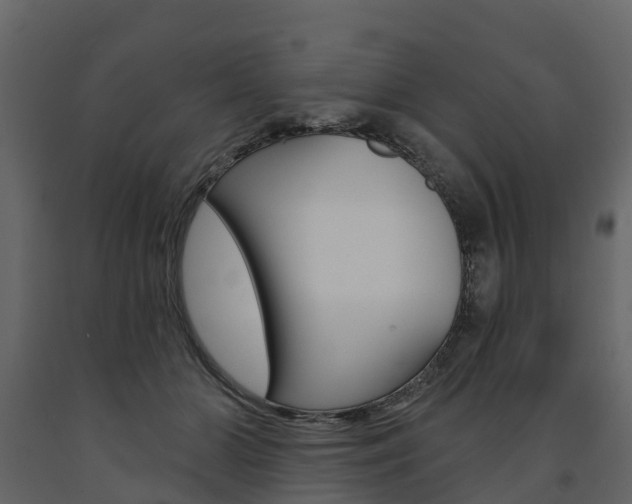 X0000091690510200708231133