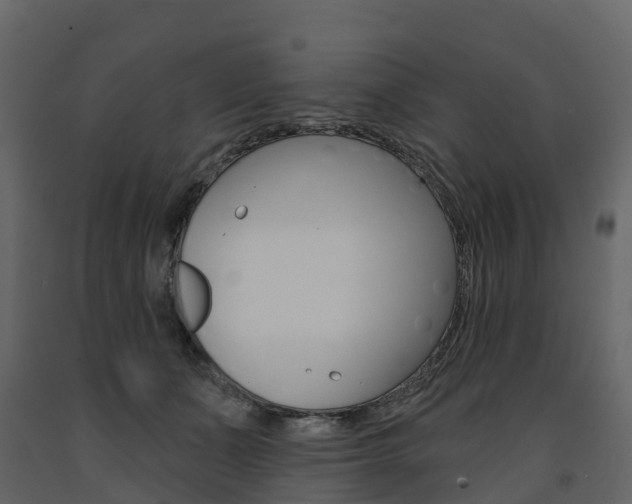X0000091690511200708231133