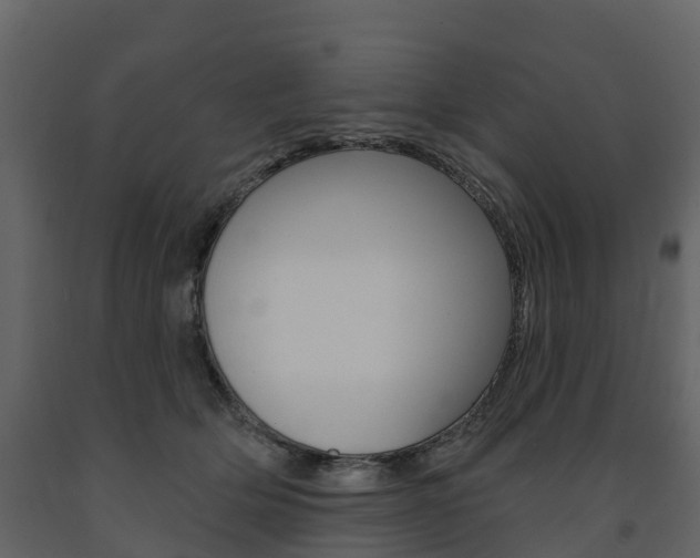 X0000091690514200708231133