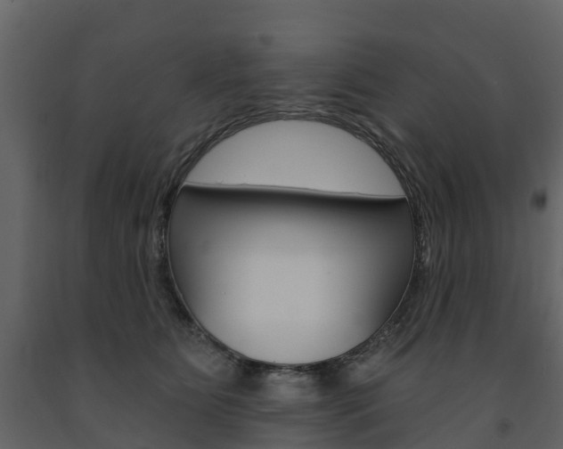 X0000091690515200708231133
