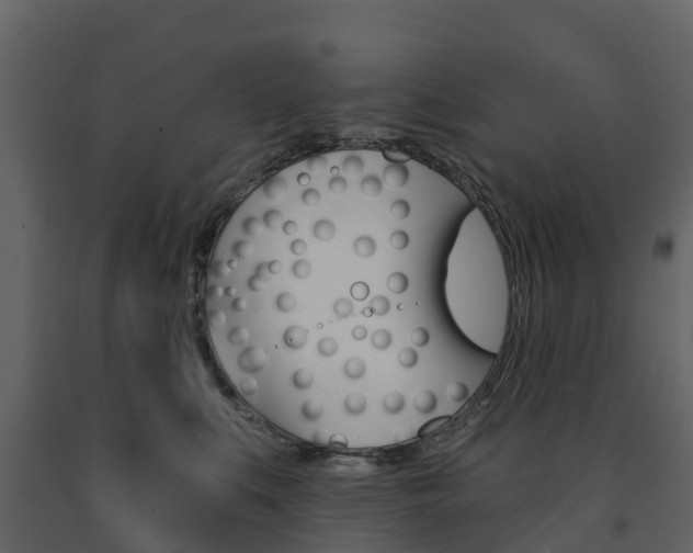 X0000091690519200708231133