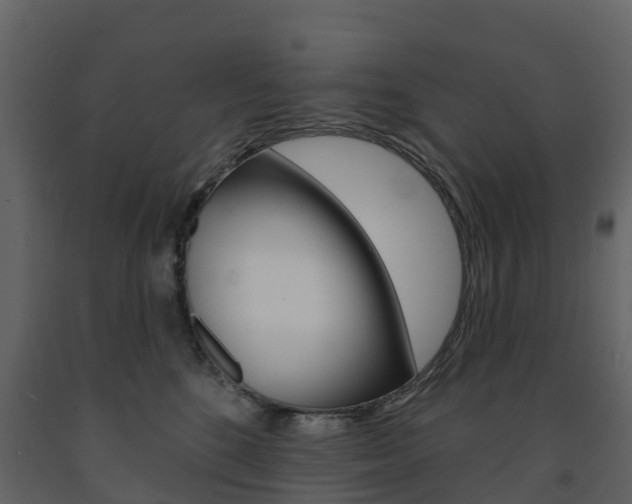 X0000091690520200708231133