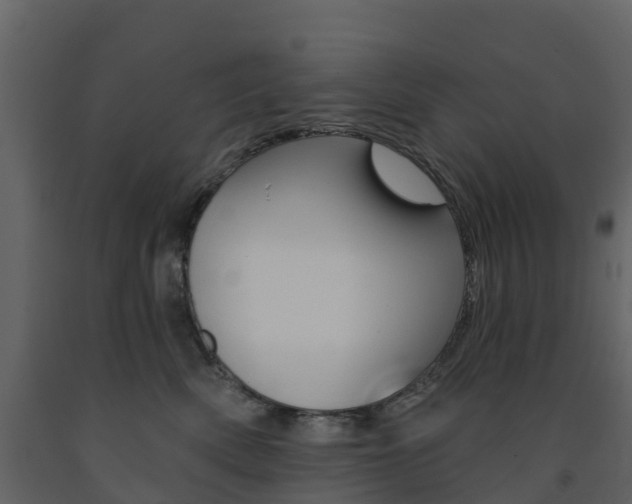 X0000091690522200708231133