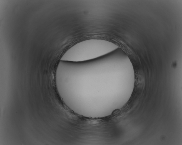X0000091690523200708231133