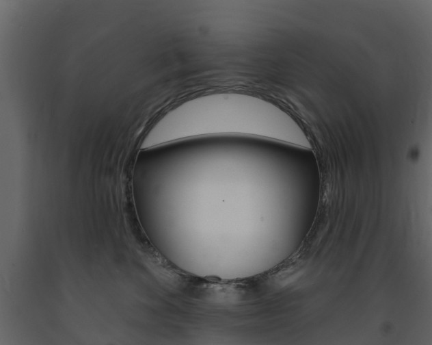 X0000091690524200708231133