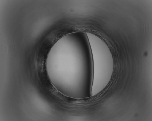 X0000091690525200708231133