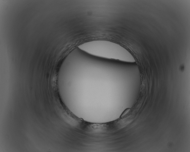 X0000091690526200708231133