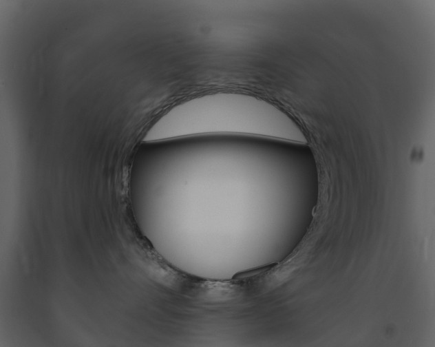 X0000091690528200708231133