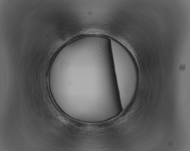 X0000091690529200708231132