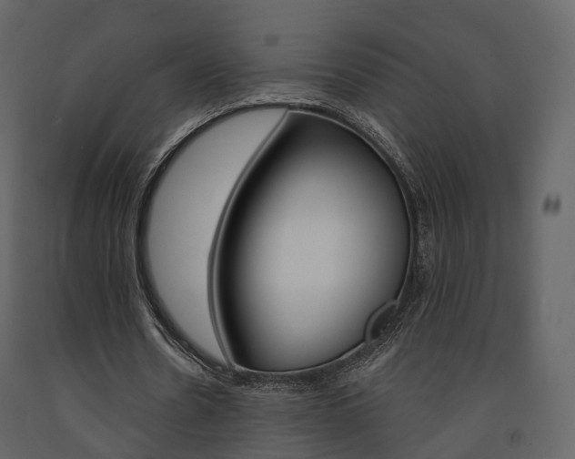 X0000091690530200708231132