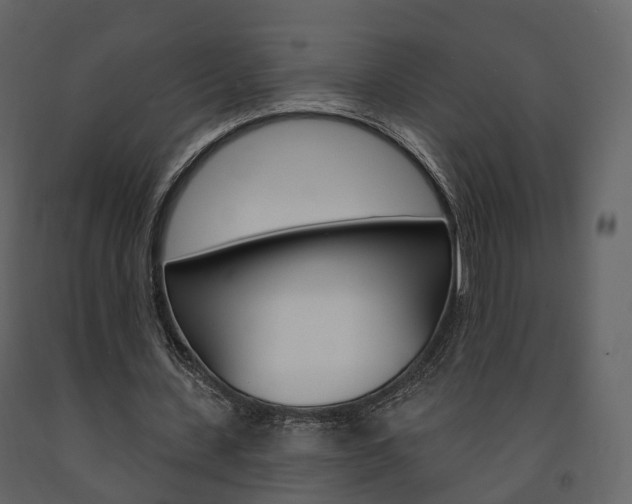 X0000091690531200708231132