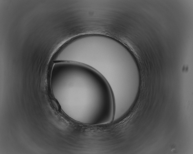 X0000091690532200708231132