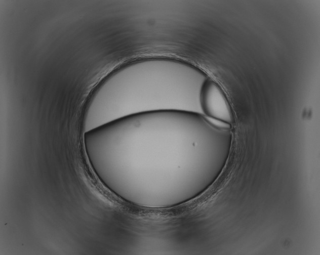 X0000091690533200708231132