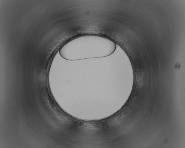 X0000091690534200708231132
