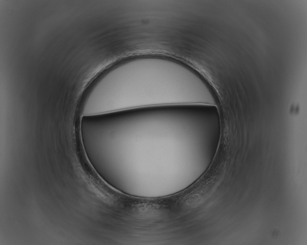 X0000091690535200708231133