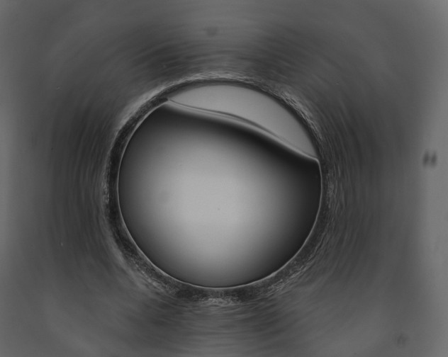 X0000091690536200708231133