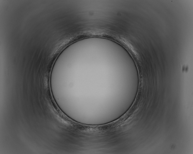 X0000091690537200708231133