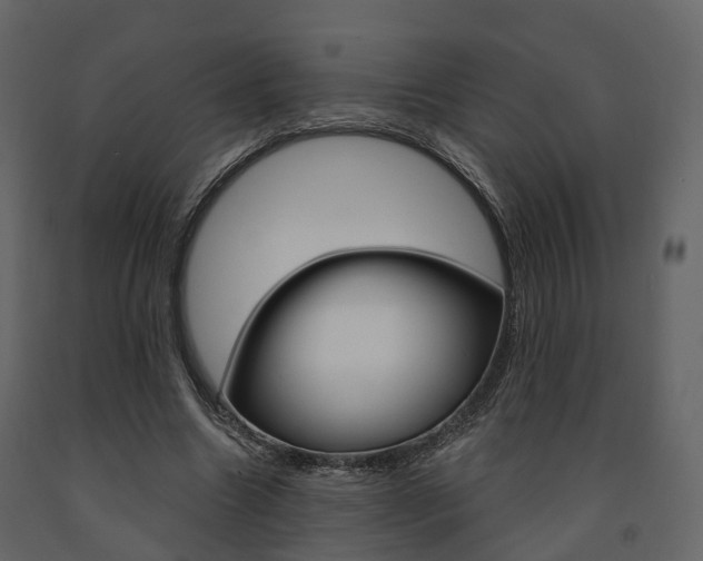 X0000091690538200708231133