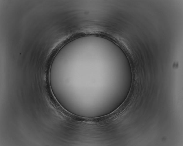 X0000091690539200708231133