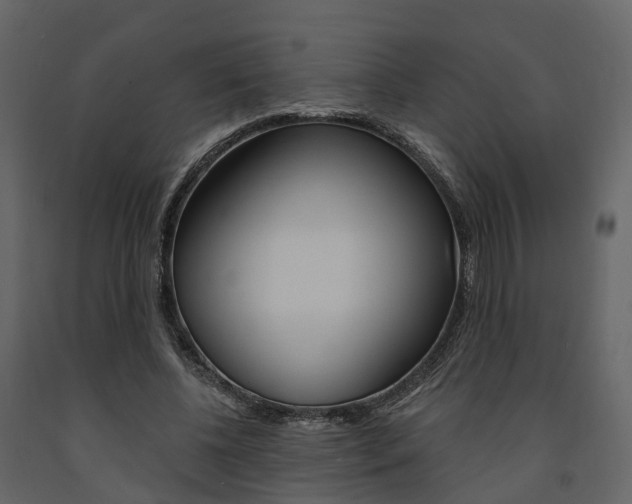 X0000091690540200708231133