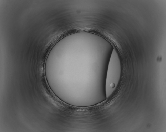 X0000091690541200708231133