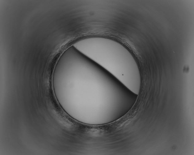 X0000091690542200708231133