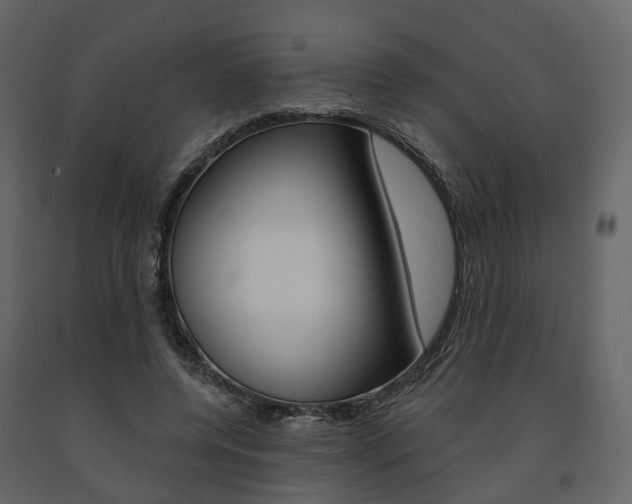 X0000091690544200708231133