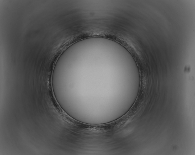 X0000091690545200708231133