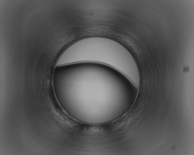 X0000091690546200708231133