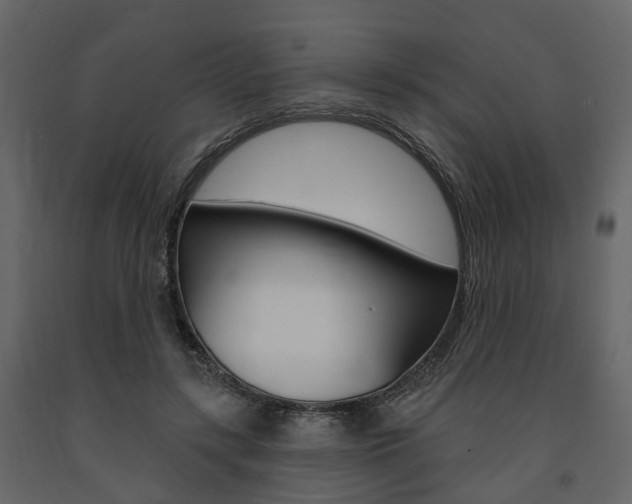 X0000091690547200708231133