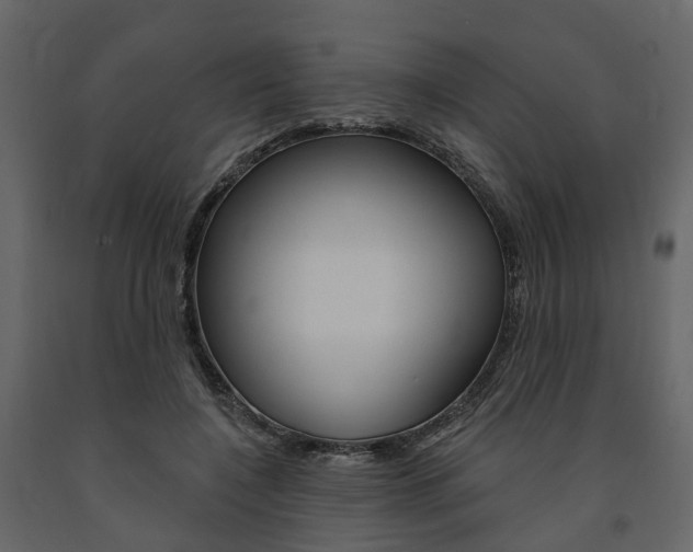 X0000091690548200708231133