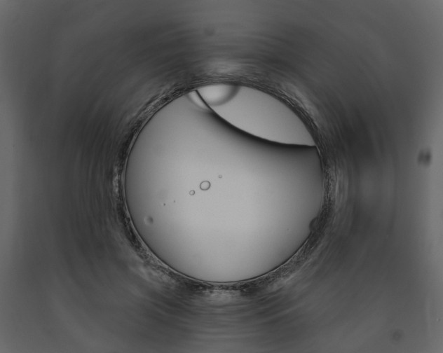 X0000091690549200708231133