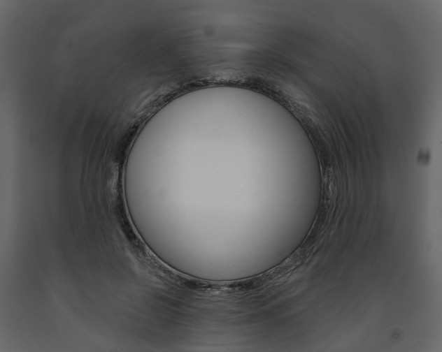 X0000091690550200708231133