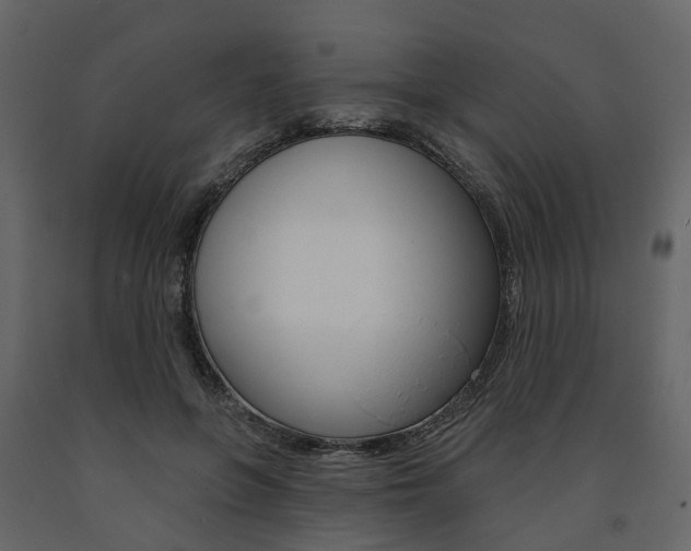 X0000091690551200708231133