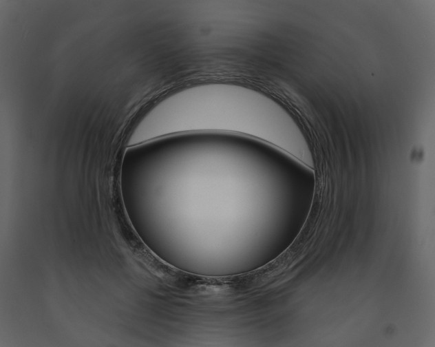 X0000091690552200708231133