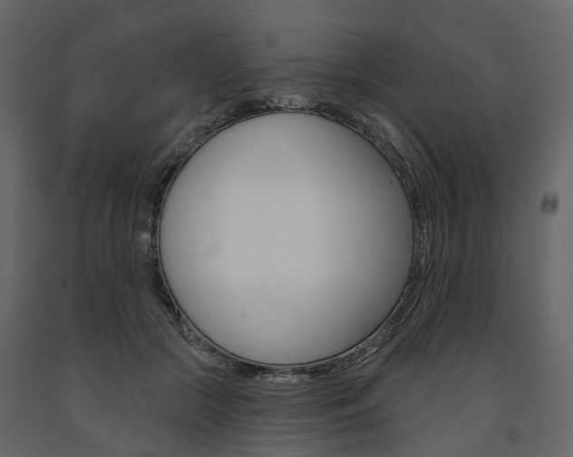 X0000091690553200708231133