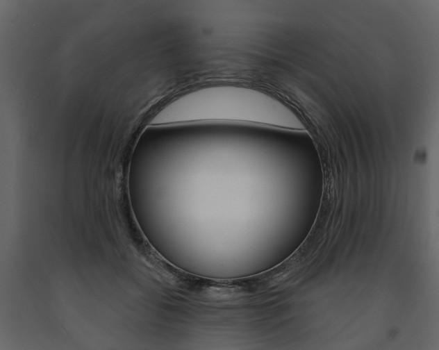 X0000091690556200708231133