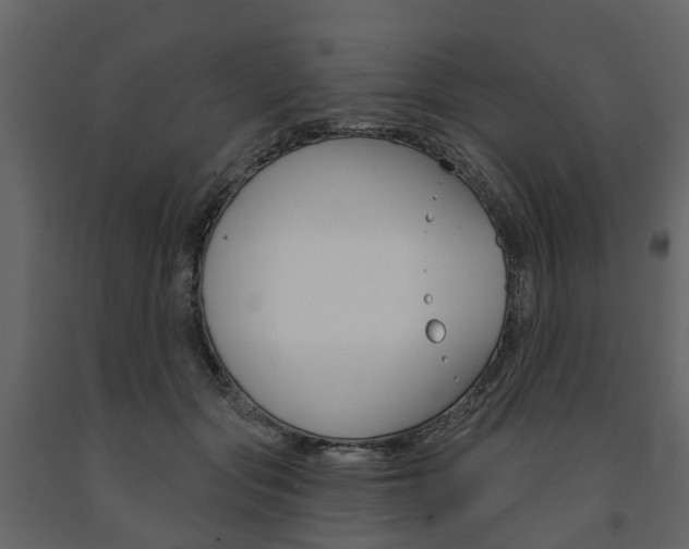 X0000091690557200708231133