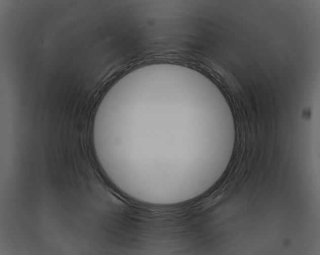 X0000091690558200708231133