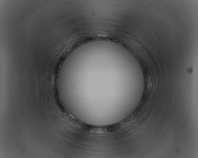 X0000091690559200708231133
