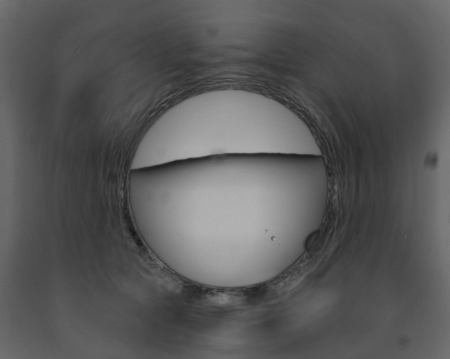 X0000091690561200708231133