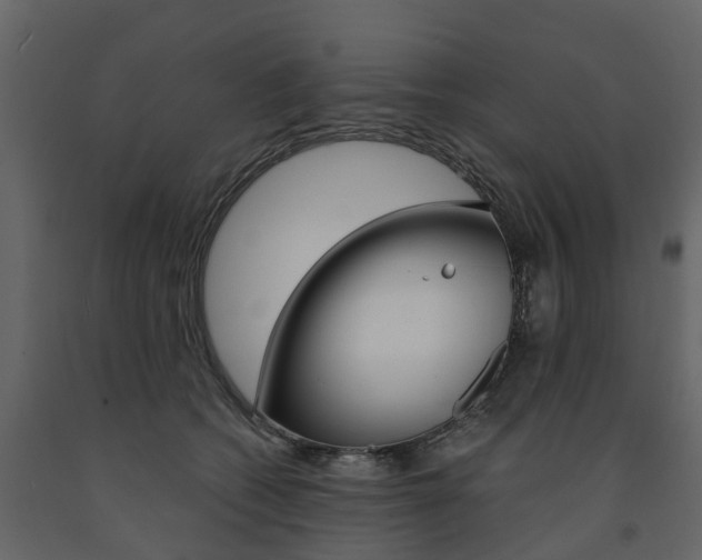 X0000091690562200708231133