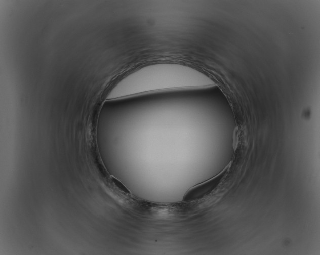 X0000091690564200708231133
