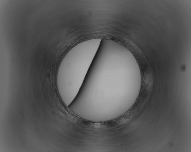 X0000091690565200708231133
