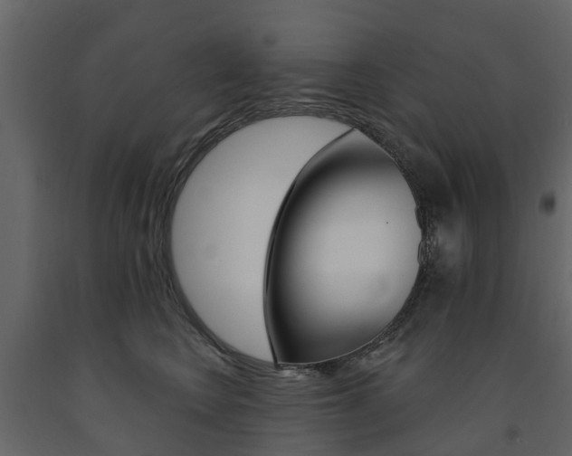 X0000091690566200708231133