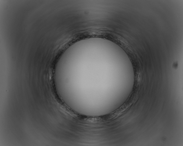X0000091690567200708231133
