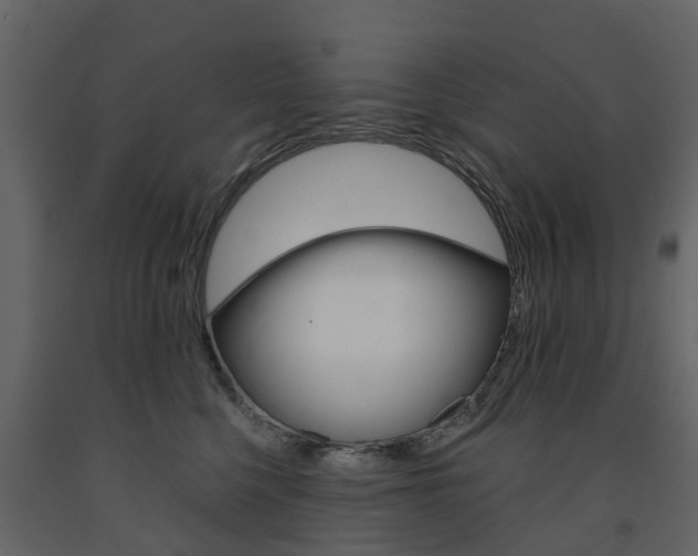 X0000091690568200708231133