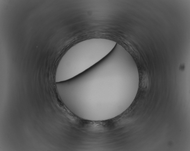 X0000091690569200708231133